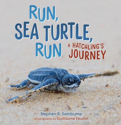 Run, Sea Turtle, Run: A Hatchling’s Journey