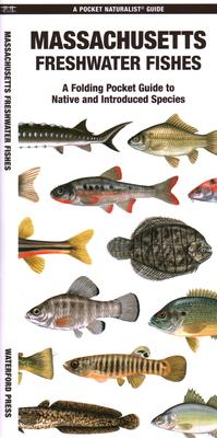 Massachusetts Freshwater Fishes: A Waterproof Folding Guide to Native and Introduced Species