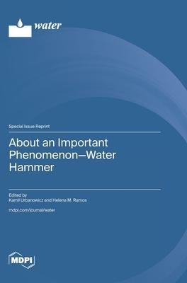 About an Important Phenomenon-Water Hammer