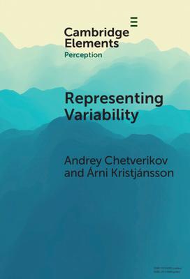 Representing Variability: How Do We Process the Heterogeneity in the Visual Environment?