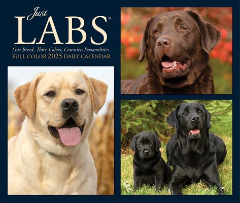 Labs 2025 6.2 X 5.4 Box Calendar