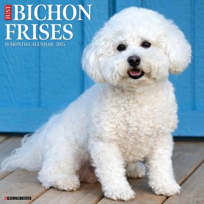 Just Bichons Frises 2025 12 X 12 Wall Calendar