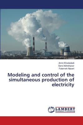 Modeling and control of the simultaneous production of electricity