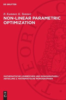 Non-Linear Parametric Optimization