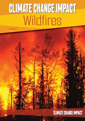 Climate Change Impact: Wildfires