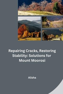 Repairing Cracks, Restoring Stability: Solutions for Mount Moorosi