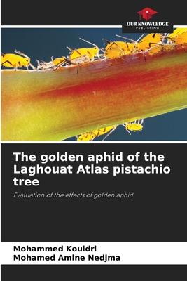 The golden aphid of the Laghouat Atlas pistachio tree