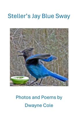 Steller’s Jay Blue Sway: Photos and Poems