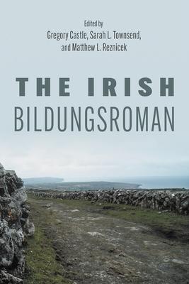 The Irish Bildungsroman