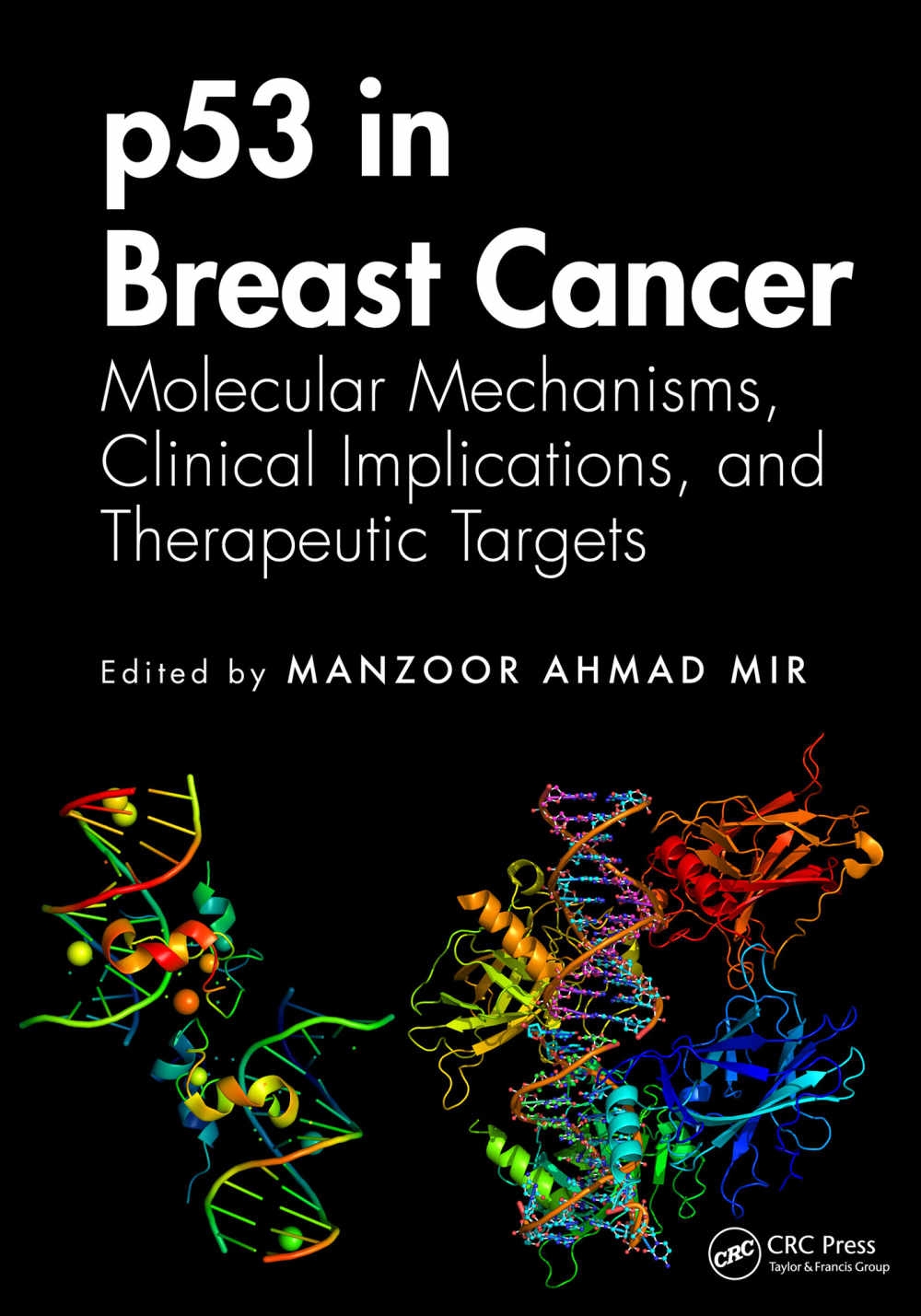 P53 in Breast Cancer: Molecular Mechanisms, Clinical Implications, and Therapeutic Targets