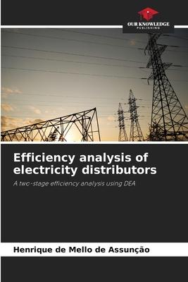 Efficiency analysis of electricity distributors