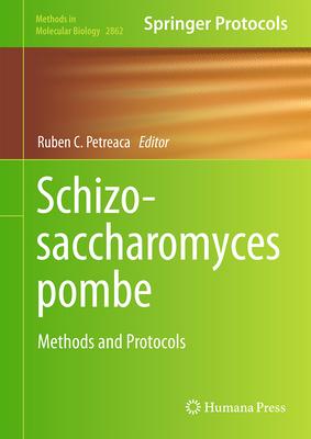 Schizosaccharomyces Pombe: Methods and Protocols