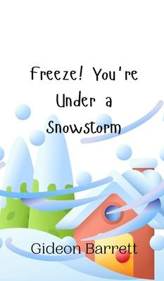 Freeze! You’re Under a Snowstorm