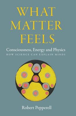 What Matter Feels: Consciousness, Energy and Physics (How Science can Explain Minds)