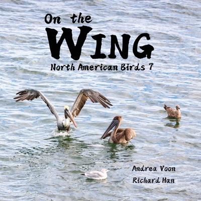 On the Wing - North American Birds 7