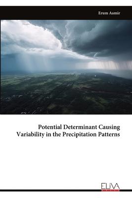 Potential Determinant Causing Variability in the Precipitation Patterns