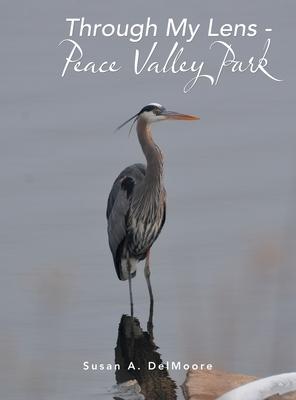 Through My Lens - Peace Valley Park